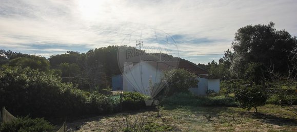 1 bedroom House in Santiago do Cacem, Portugal No. 19614 13