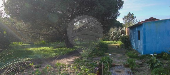 1 bedroom House in Santiago do Cacem, Portugal No. 19614 16