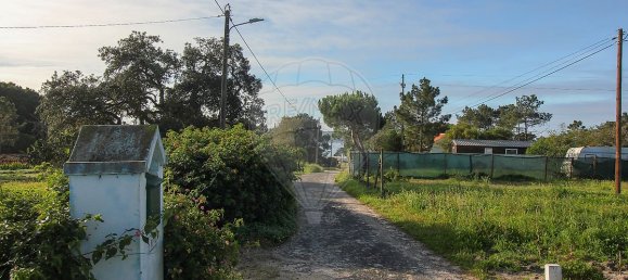 1 bedroom House in Santiago do Cacem, Portugal No. 19614 11