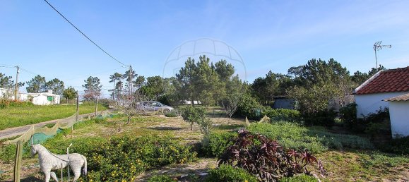 1 bedroom House in Santiago do Cacem, Portugal No. 19614 9