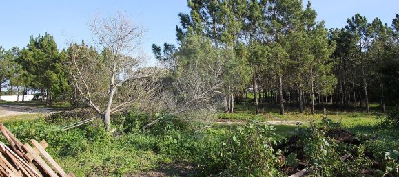 1 bedroom House in Santiago do Cacem, Portugal No. 19614 2