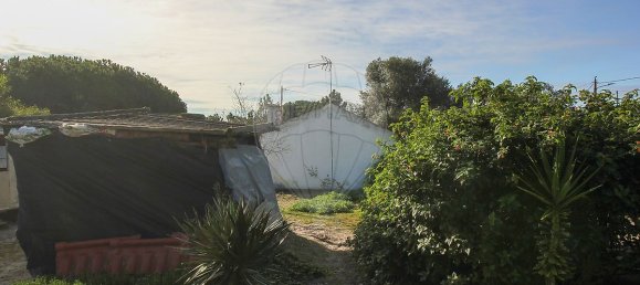1 bedroom House in Santiago do Cacem, Portugal No. 19614 14