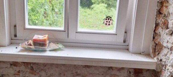 3غرفة تاون هاوس في Kohfidisch, Austria رقم 149689 6