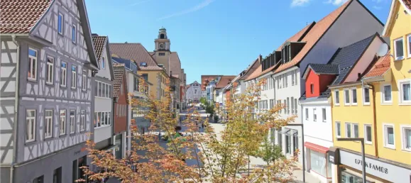 Gebäude in Zollernalbkreis, Germany 600m², Nr. 321955 3