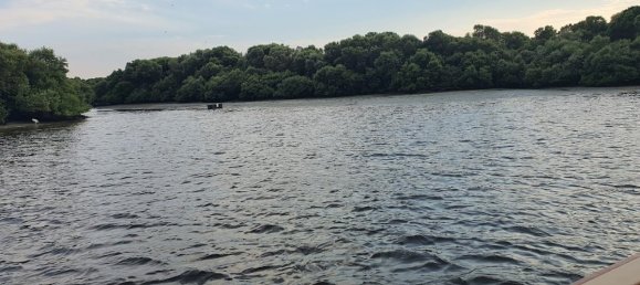 18405m² Land in Al Zorah, UAE No. 106233 20