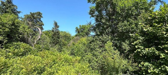  Land in Havelland, Germany No. 14259 3