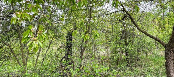  Land in Havelland, Germany No. 14259 4