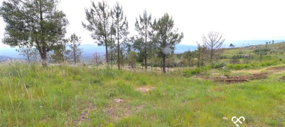  قطعة أرض في Mangualde, Portugal رقم 68524 4