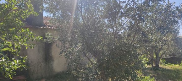 3 bedrooms House in Alvaiazere, Portugal No. 17895 30