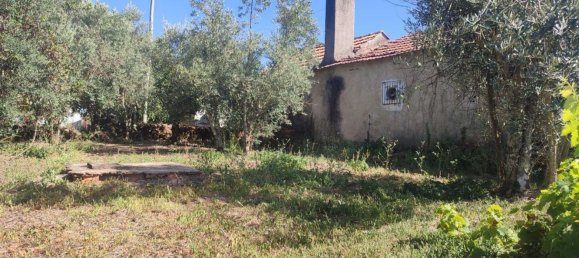 3 bedrooms House in Alvaiazere, Portugal No. 17895 41