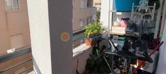3 chambres Appartement à Torrevieja, Spain No. 68949 39