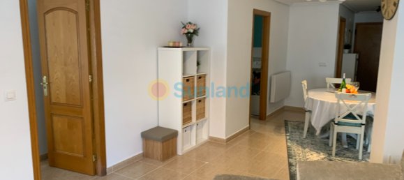 3 chambres Appartement à Torrevieja, Spain No. 68949 29