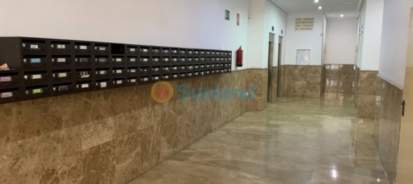 3 chambres Appartement à Torrevieja, Spain No. 68949 36