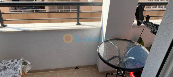 3 chambres Appartement à Torrevieja, Spain No. 68949 41