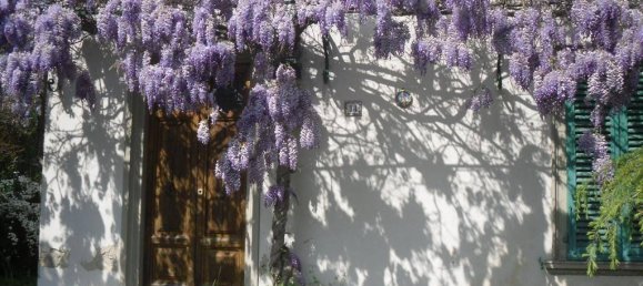 3 bedrooms Villa in Pisa, Italy No. 303848 13