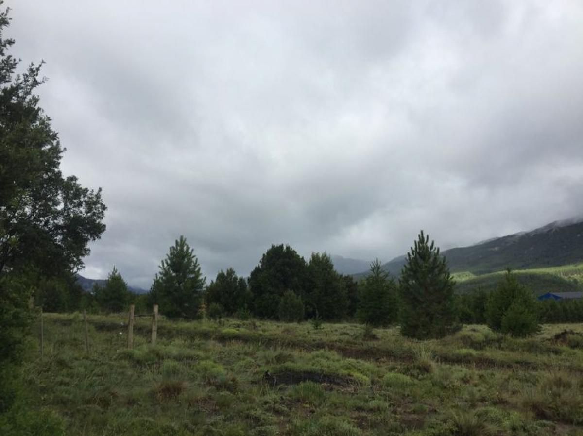 Terrain à Neuquen, Argentina No. 49758