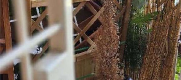 Studio in Rome, Italy, Nr. 202930 13