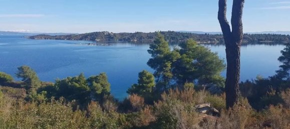 Propriedade comercial de 5 divisões em Chalkidiki, Greece N.º 52678 12
