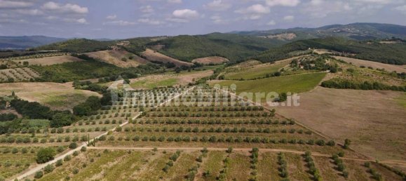  قطعة أرض في Roccastrada, Italy 290000متر مربع رقم 321812 5