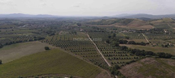  قطعة أرض في Roccastrada, Italy 290000متر مربع رقم 321812 3