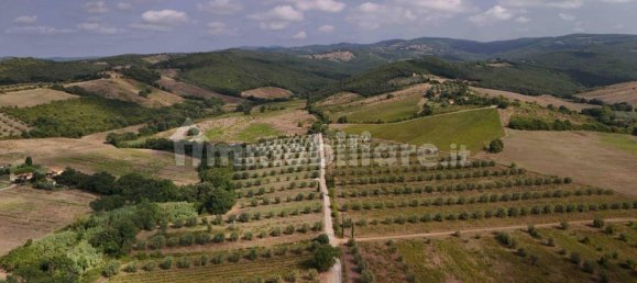  قطعة أرض في Roccastrada, Italy 290000متر مربع رقم 321812 2