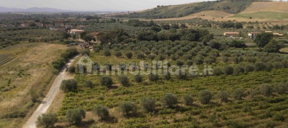  قطعة أرض في Roccastrada, Italy 290000متر مربع رقم 321812 6