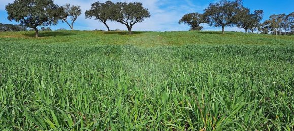 Студия в Орике, Португалия № 40291 37