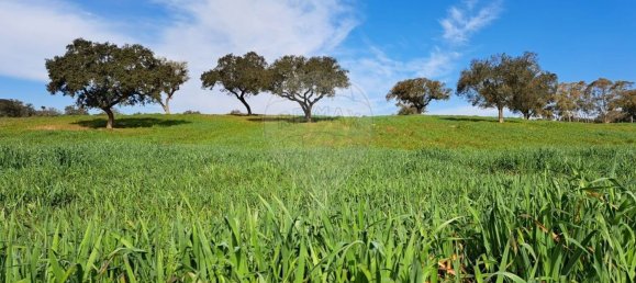 Студия в Орике, Португалия № 40291 32