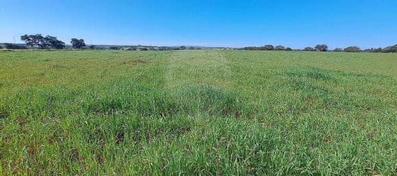 Студия в Орике, Португалия № 40291 43