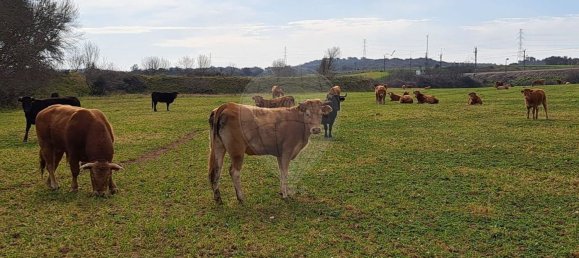 Студия в Орике, Португалия № 40291 29