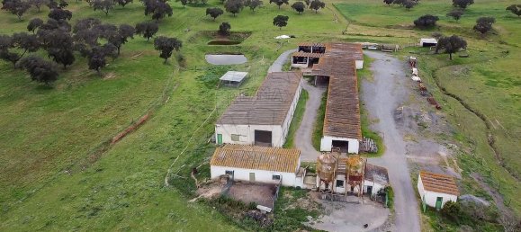 Студия в Орике, Португалия № 40291 6