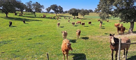 Студия в Орике, Португалия № 40291 39