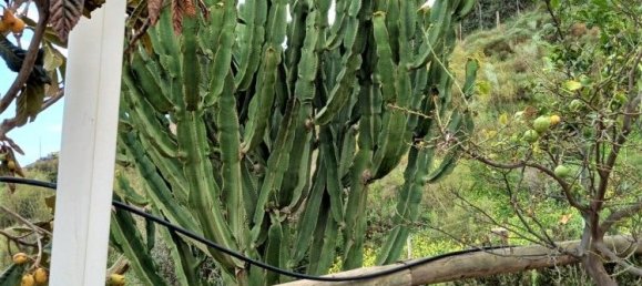 Дом с 2 спальнями в Альмайяте, Испания № 38716 32