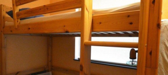 2 rooms House in Steinbrunn, Austria No. 236513 14