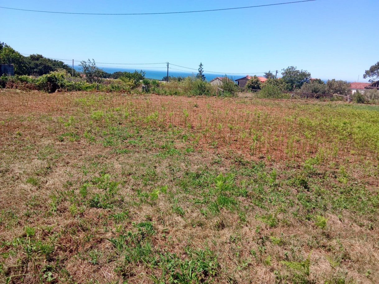 Terreno en Viana do Castelo, Portugal 1860 m² No. 310567