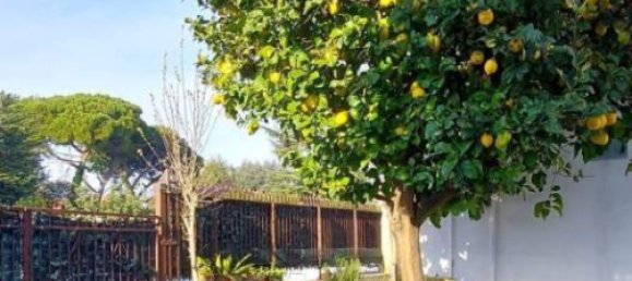 3 غرف نوم منزل في Carrara, Italy رقم 45687 4