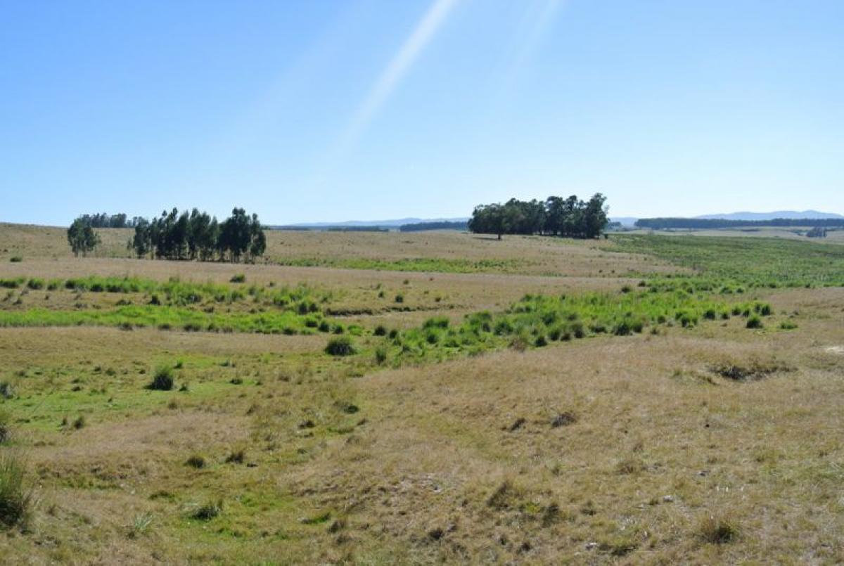 16m² Farm in Maldonado, Uruguay No. 14781