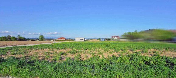 Grundstück in Eberndorf, Austria, Nr. 167553 4