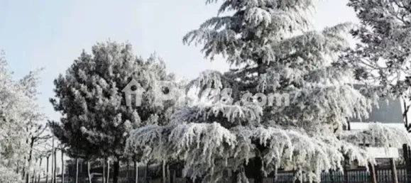 2 bedrooms Apartment in Villagonzalo Pedernales, Spain No. 187785 3