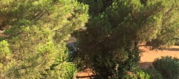 Пентхаус с 8 комнатами в Кьявари, Италия № 76645 37