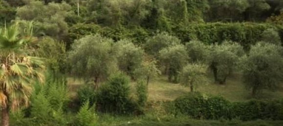 Пентхаус с 8 комнатами в Кьявари, Италия № 76645 24