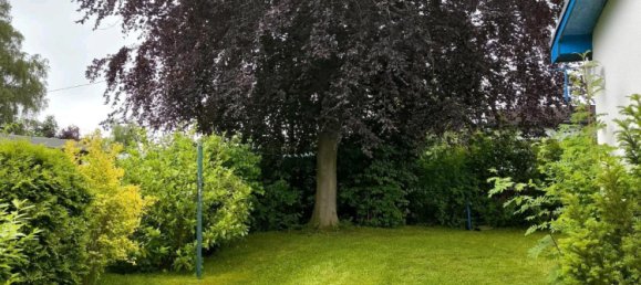 1 bedroom Bungalow in Nordwestmecklenburg, Germany No. 296488 3