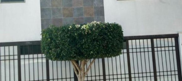 4 غرف نوم منزل في Aguascalientes, Mexico رقم 167122 2