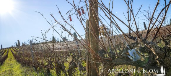 11 bedrooms Castles in Castellina in Chianti, Italy No. 54536 44