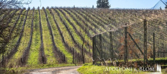 11 bedrooms Castles in Castellina in Chianti, Italy No. 54536 46