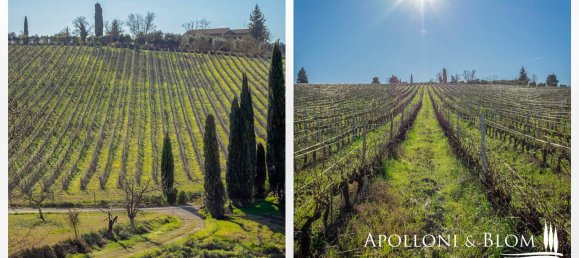 11 bedrooms Castles in Castellina in Chianti, Italy No. 54536 43