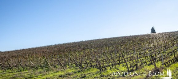 11 bedrooms Castles in Castellina in Chianti, Italy No. 54536 45