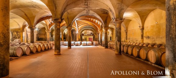 11 bedrooms Castles in Castellina in Chianti, Italy No. 54536 14