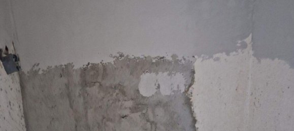 8 rooms House in Mistelbach, Austria No. 242256 7