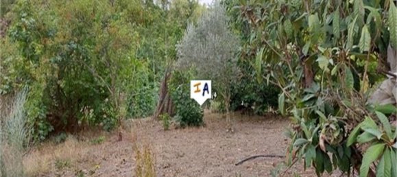 5 bedrooms Townhouse in Almedinilla, Spain No. 51968 5